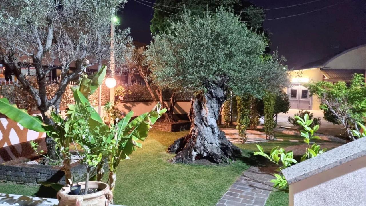 Fontana Oasis Apartments Кастельнуово-дель-Гарда Экстерьер фото